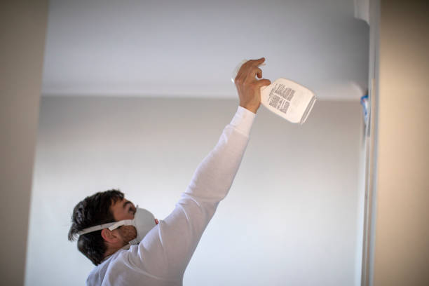 Best Mold Remediation  in Swift Trail Junction, AZ