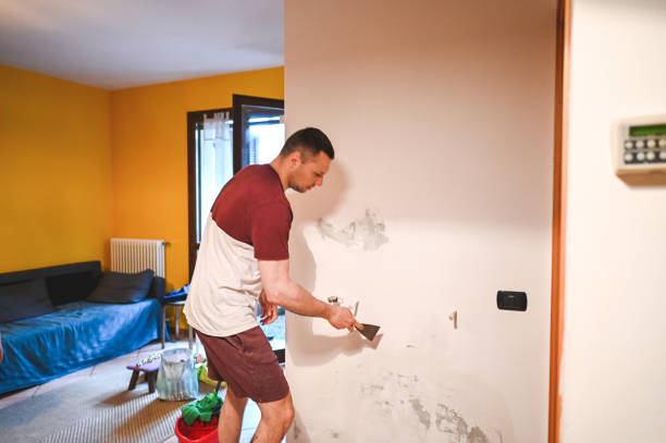 Best Professional Mold Removal  in Swift Trail Junction, AZ