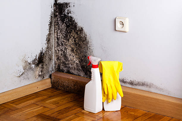 Crawl Space Mold Removal in Swift Trail Junction, AZ